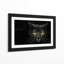 Gato obsidiana insomne negro - Davorin Baloh | Cuadro decorativo de Canvas Lab