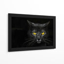 Gato obsidiana insomne negro - Davorin Baloh | Cuadro decorativo de Canvas Lab