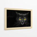 Gato obsidiana insomne negro - Davorin Baloh | Cuadro decorativo de Canvas Lab