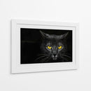 Gato obsidiana insomne negro - Davorin Baloh | Cuadro decorativo de Canvas Lab