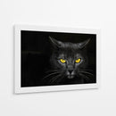 Gato obsidiana insomne negro - Davorin Baloh | Cuadro decorativo de Canvas Lab