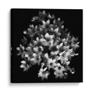 Elegante racimo floral - Yvette Depaepe | Cuadro decorativo de Canvas Lab