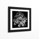 Elegante racimo floral - Yvette Depaepe | Cuadro decorativo de Canvas Lab