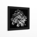 Elegante racimo floral - Yvette Depaepe | Cuadro decorativo de Canvas Lab