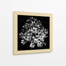 Elegante racimo floral - Yvette Depaepe | Cuadro decorativo de Canvas Lab