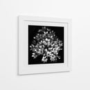 Elegante racimo floral - Yvette Depaepe | Cuadro decorativo de Canvas Lab