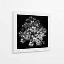 Elegante racimo floral - Yvette Depaepe | Cuadro decorativo de Canvas Lab