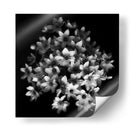 Elegante racimo floral - Yvette Depaepe | Cuadro decorativo de Canvas Lab