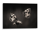 Elegante pareja de mariposas - Jimmy Hoffman | Cuadro decorativo de Canvas Lab