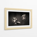 Elegante pareja de mariposas - Jimmy Hoffman | Cuadro decorativo de Canvas Lab