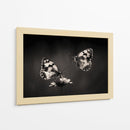 Elegante pareja de mariposas - Jimmy Hoffman | Cuadro decorativo de Canvas Lab