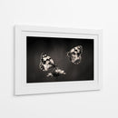Elegante pareja de mariposas - Jimmy Hoffman | Cuadro decorativo de Canvas Lab