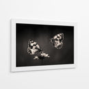 Elegante pareja de mariposas - Jimmy Hoffman | Cuadro decorativo de Canvas Lab