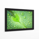 Gotas de rocío de hoja de corazón - Woraphon Banchobdi | Cuadro decorativo de Canvas Lab