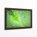Gotas de rocío de hoja de corazón - Woraphon Banchobdi | Cuadro decorativo de Canvas Lab