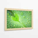 Gotas de rocío de hoja de corazón - Woraphon Banchobdi | Cuadro decorativo de Canvas Lab