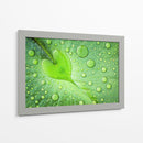 Gotas de rocío de hoja de corazón - Woraphon Banchobdi | Cuadro decorativo de Canvas Lab