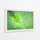 Gotas de rocío de hoja de corazón - Woraphon Banchobdi | Cuadro decorativo de Canvas Lab