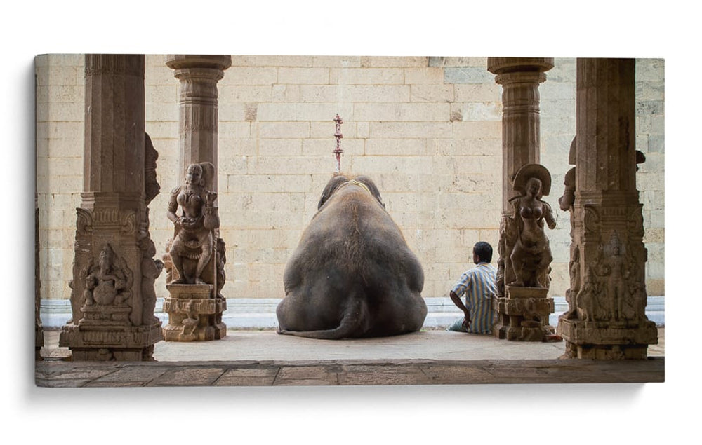 Elefante del Templo Sagrado vista posterior - ruhan | Cuadro decorativo de Canvas Lab