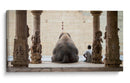 Elefante del Templo Sagrado vista posterior - ruhan | Cuadro decorativo de Canvas Lab