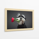 Entrega de rosas de Schnauzer - Adnan Mahmutovic | Cuadro decorativo de Canvas Lab