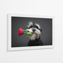 Entrega de rosas de Schnauzer - Adnan Mahmutovic | Cuadro decorativo de Canvas Lab