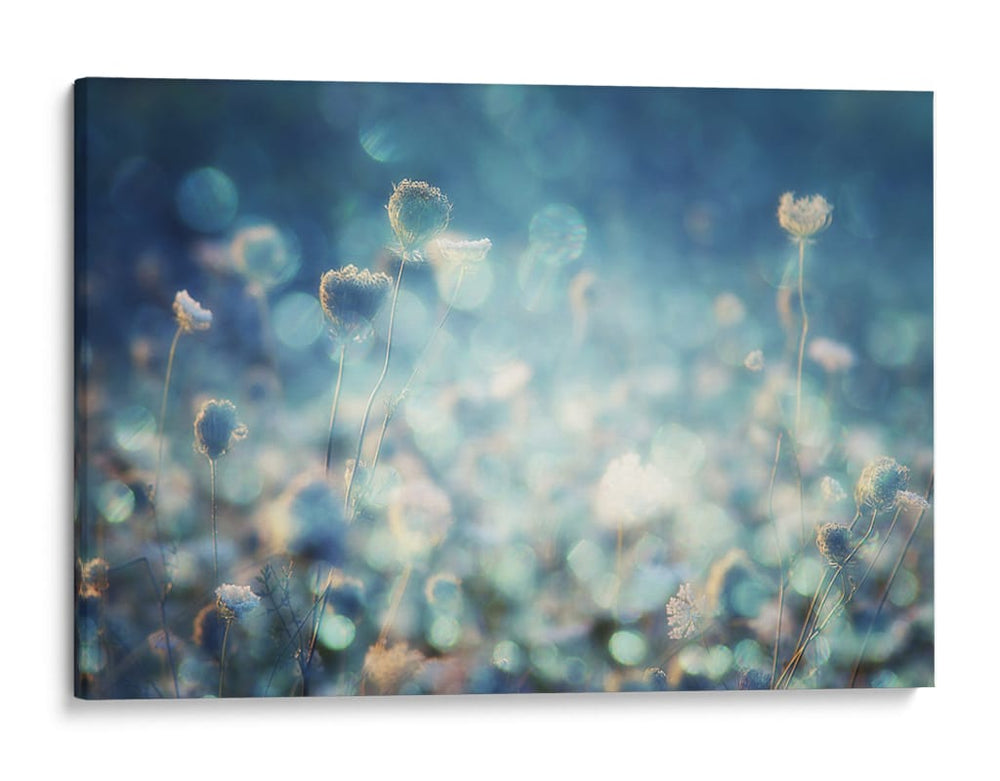 Flores azules de ensueño - Stefan Eisele | Cuadro decorativo de Canvas Lab