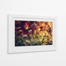 Flores Bokeh moradas de ensueño - Dimitar Lazarov - | Cuadro decorativo de Canvas Lab