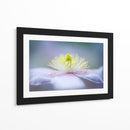 Flor de color púrpura suave - Jacky Parker | Cuadro decorativo de Canvas Lab