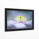 Flor de color púrpura suave - Jacky Parker | Cuadro decorativo de Canvas Lab