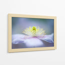 Flor de color púrpura suave - Jacky Parker | Cuadro decorativo de Canvas Lab