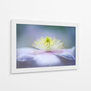 Flor de color púrpura suave - Jacky Parker | Cuadro decorativo de Canvas Lab