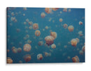 Enjambre de medusas doradas - Piron Xavier | Cuadro decorativo de Canvas Lab