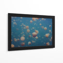 Enjambre de medusas doradas - Piron Xavier | Cuadro decorativo de Canvas Lab