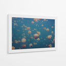 Enjambre de medusas doradas - Piron Xavier | Cuadro decorativo de Canvas Lab