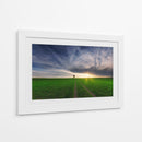 La hora dorada de Lone Tree - Piotr Krol (Bax) | Cuadro decorativo de Canvas Lab