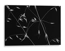 Líneas elegantes de plantas - Olavo Azevedo | Cuadro decorativo de Canvas Lab