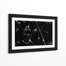 Líneas elegantes de plantas - Olavo Azevedo | Cuadro decorativo de Canvas Lab