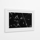 Líneas elegantes de plantas - Olavo Azevedo | Cuadro decorativo de Canvas Lab