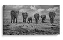 Marcha de elefantes de la sabana - Marcel Rebro | Cuadro decorativo de Canvas Lab