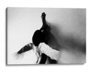 La sombra de un ángel - Keisuke Ikeda @ | Cuadro decorativo de Canvas Lab