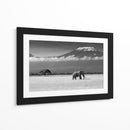 Majestuoso elefante del Kilimanjaro - Ibrahim Canakci | Cuadro decorativo de Canvas Lab