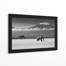 Majestuoso elefante del Kilimanjaro - Ibrahim Canakci | Cuadro decorativo de Canvas Lab