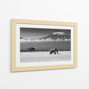 Majestuoso elefante del Kilimanjaro - Ibrahim Canakci | Cuadro decorativo de Canvas Lab