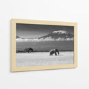 Majestuoso elefante del Kilimanjaro - Ibrahim Canakci | Cuadro decorativo de Canvas Lab