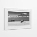 Majestuoso elefante del Kilimanjaro - Ibrahim Canakci | Cuadro decorativo de Canvas Lab