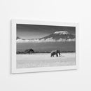 Majestuoso elefante del Kilimanjaro - Ibrahim Canakci | Cuadro decorativo de Canvas Lab