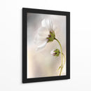La piel del tiempo - Mandy Disher | Cuadro decorativo de Canvas Lab