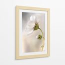 La piel del tiempo - Mandy Disher | Cuadro decorativo de Canvas Lab
