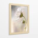 La piel del tiempo - Mandy Disher | Cuadro decorativo de Canvas Lab